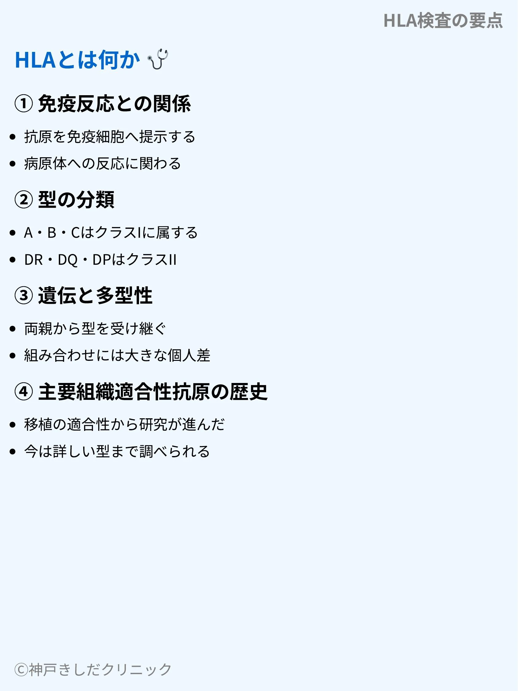 HLA検査の要点_03.webp