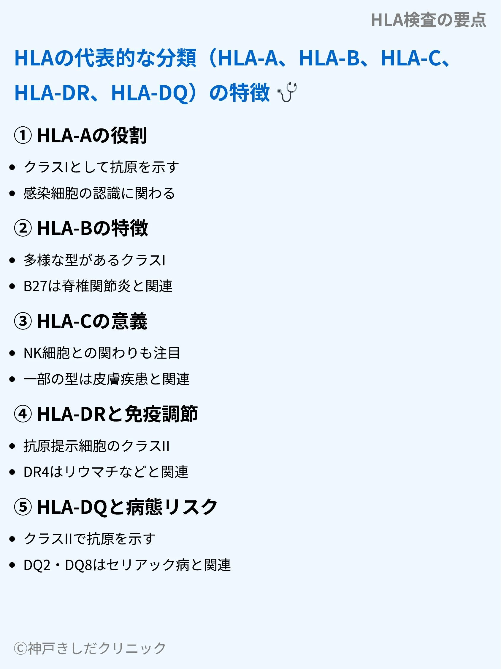 HLA検査の要点_06.webp
