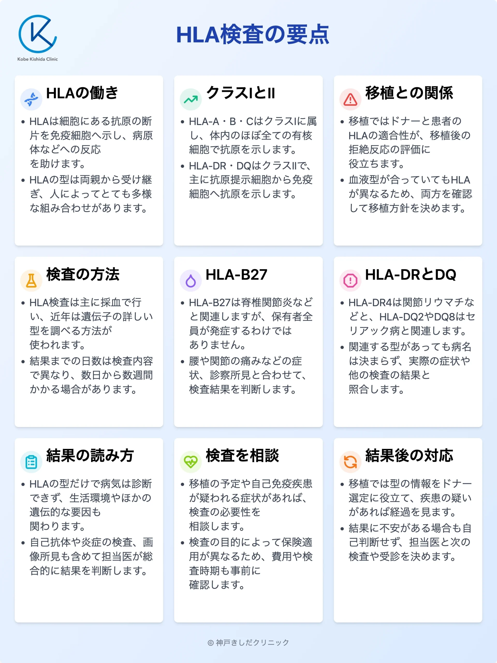 HLA検査の要点_10.webp