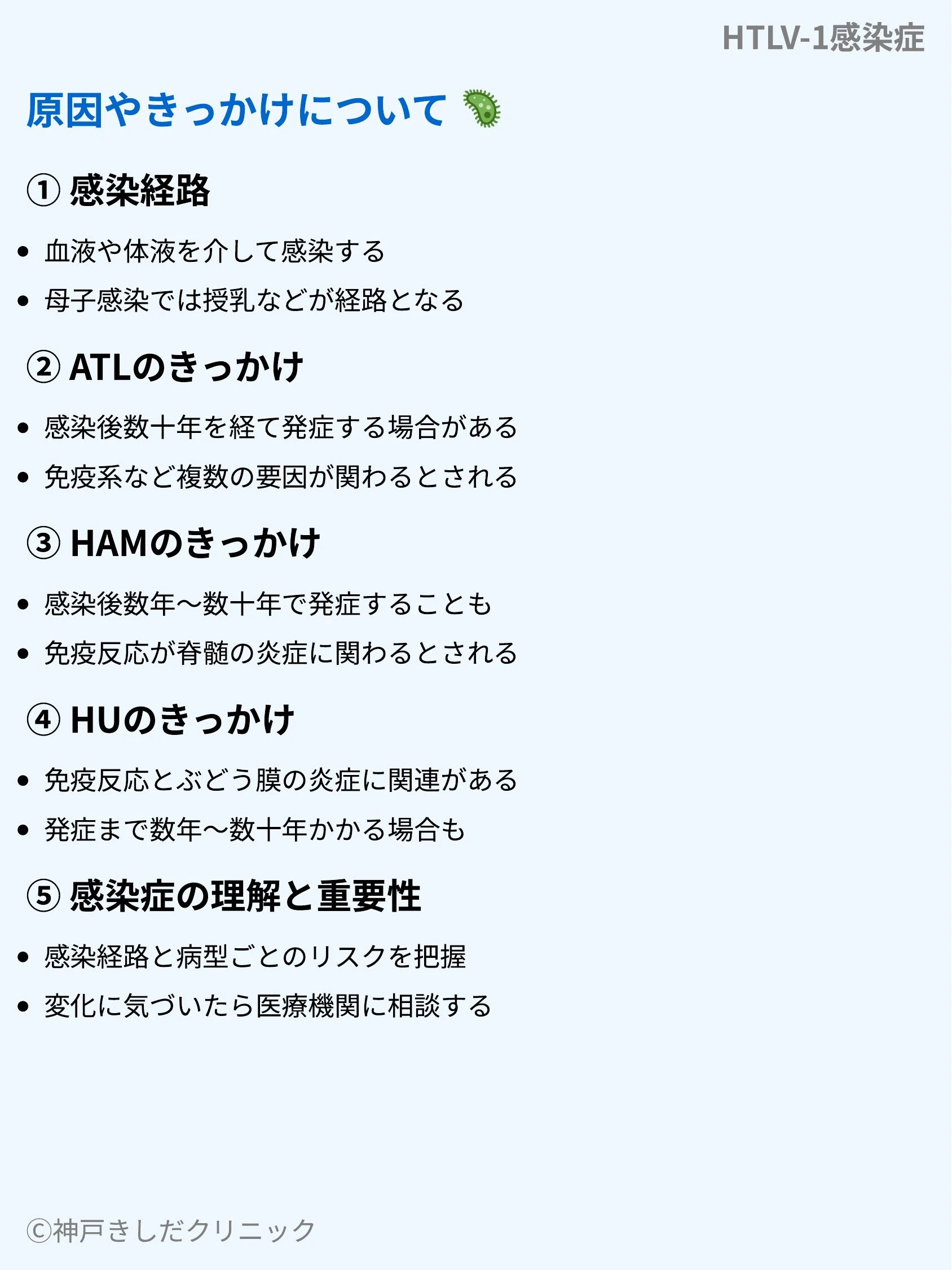 HTLV-1感染症_05.webp