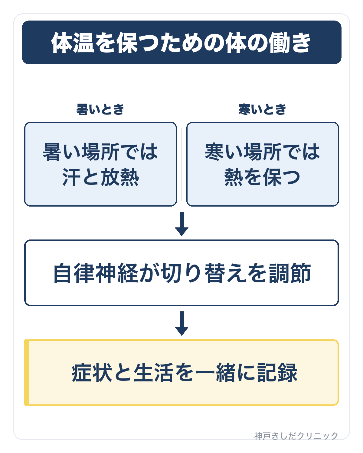仕組み図:体温を保つための体の働き