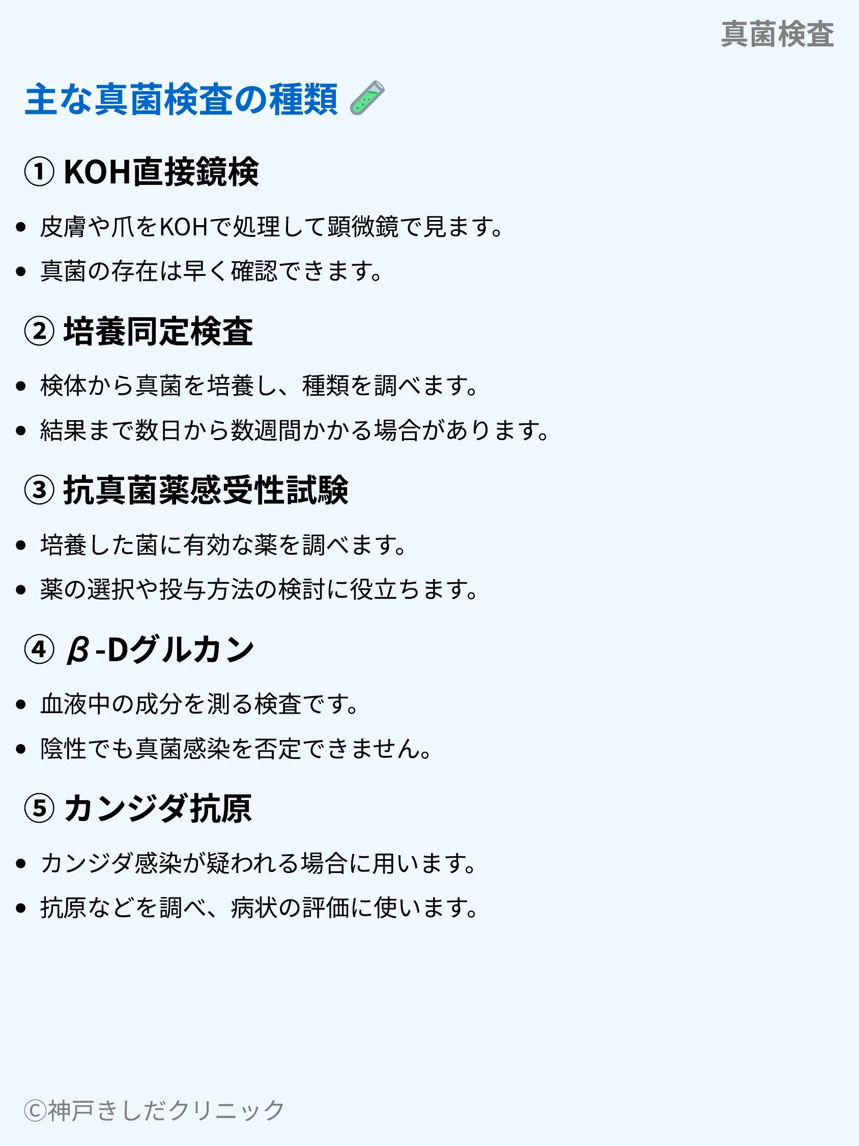 真菌検査_04.webp