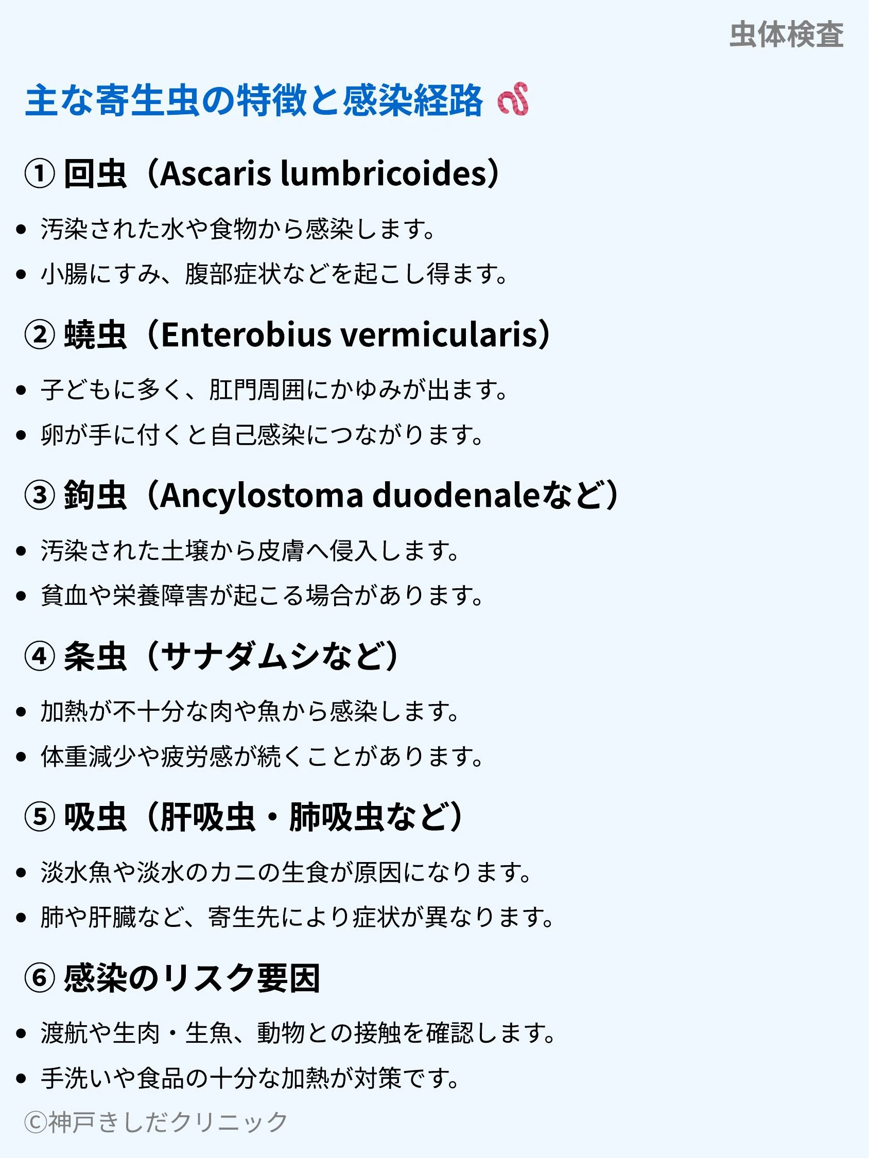 虫体検査_05.webp